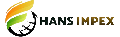 Hans Impex Logo