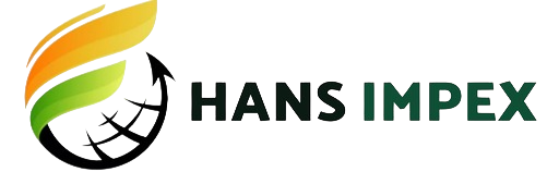 Hans Impex Logo